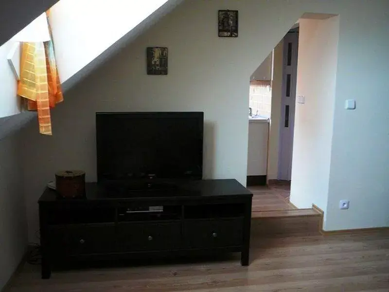 Apartmán Jana Palacha 38A